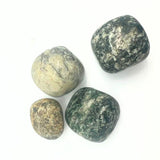 Jade from Canada gross