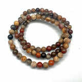 Petrified wood, tumbled rock from Arizona