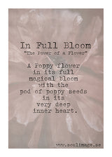 Soul Image, In full Bloom kort