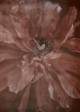 Soul Image, In full Bloom kort