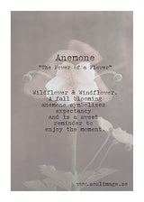 Soul Image, Anemon kort