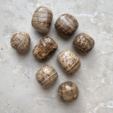 Aragoniitti Peru brutto