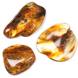 Kiillotettu meripihka